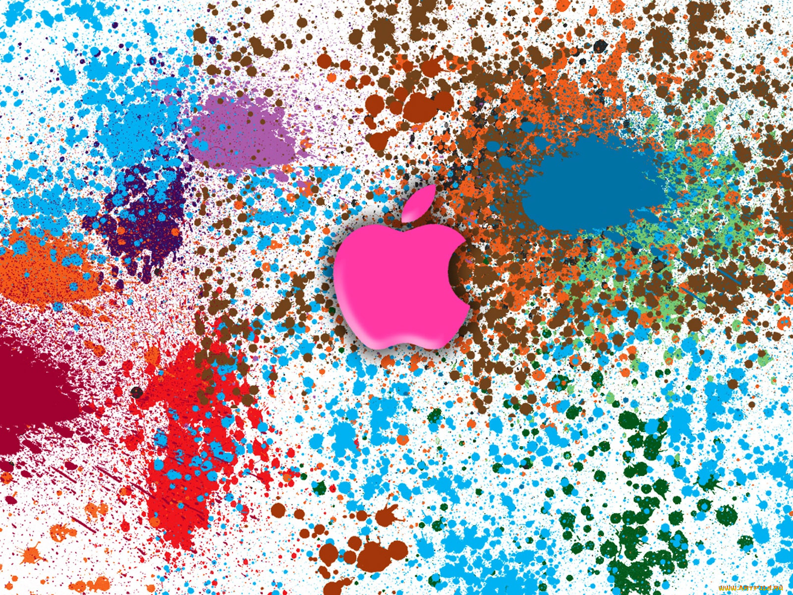 , apple